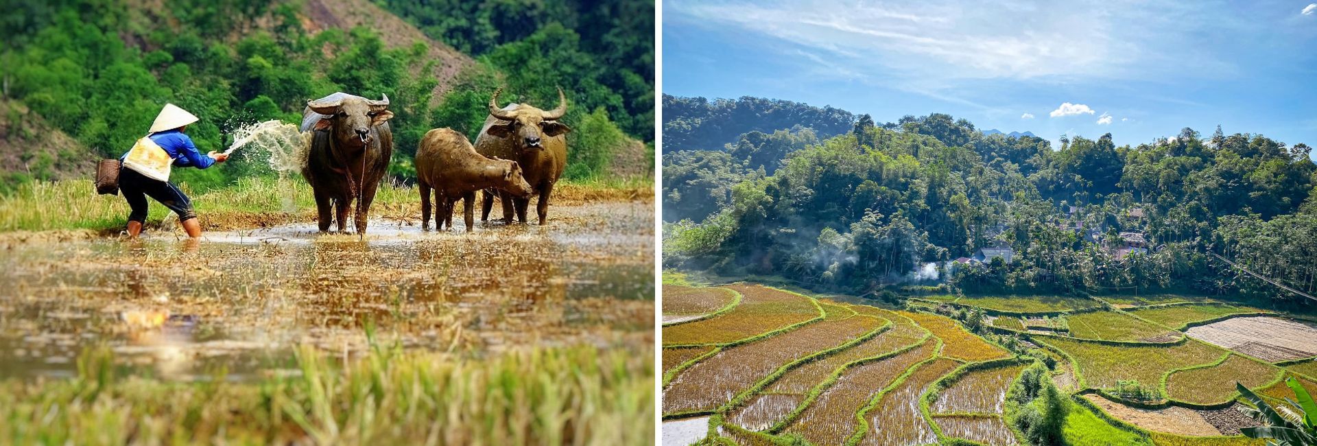 Pu Luong in February: Quiet Spring Mood and Tet Atmosphere