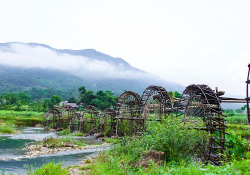 Pu Luong in January: A Quiet Start to the Year in Nature