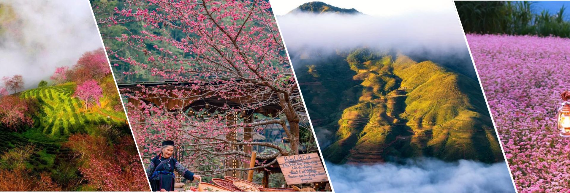 Where to Go in Vietnam in Spring? Best Places for Nature, Culture, and Easy Travel