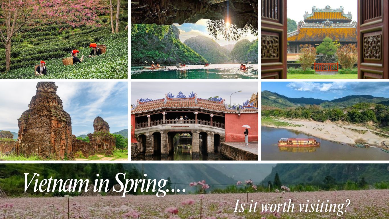 where-to-go-in-Vietnam-in-Spring