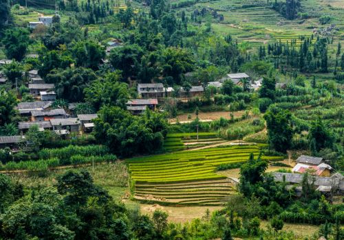 Ha Giang Loop in May: Weather, Scenery & Is It the Right Time to Go?