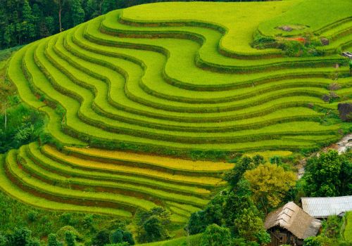 Ha Giang Loop in June: Fresh Green Season and Peaceful Mountain Air