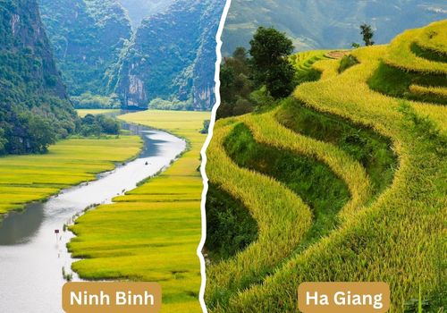 Ninh Binh or Ha Giang? Which of Vietnam’s Natural Landscapes Is Better for Sightseeing and Activities?