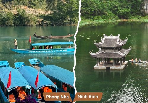 Phong Nha or Ninh Binh: Caves, Pagodas & Scenic Landscapes Compared Guide