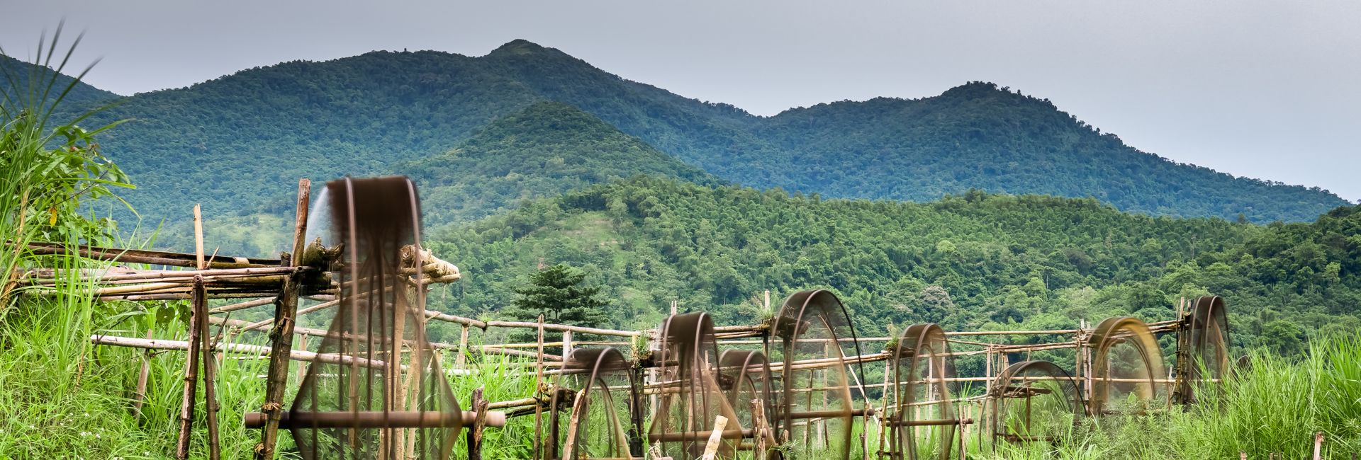 Pu Luong in March: Weather, Scenery, and the Best Ways to Experience It