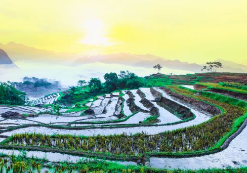 Pu Luong in March: Weather, Scenery, and the Best Ways to Experience It