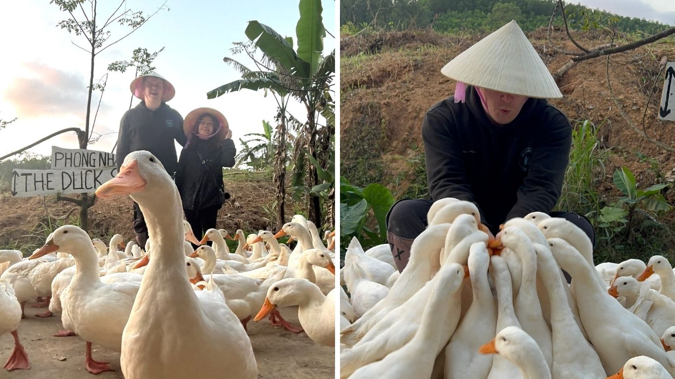 The-Duck-Stop-phong-nha