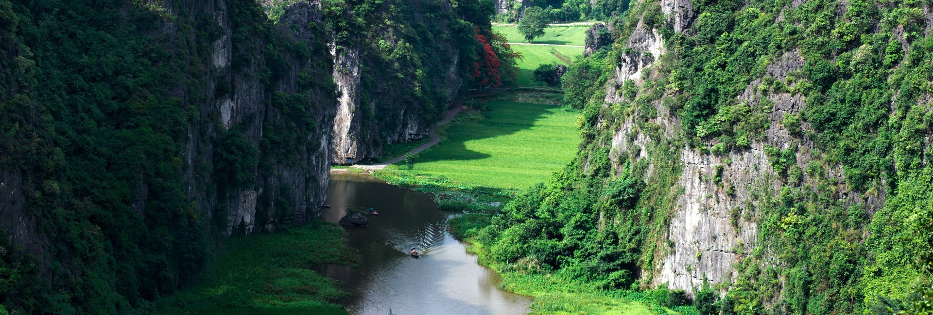 Ninh Binh in May: Weather, Rice Fields & Is It the Right Time to Visit?