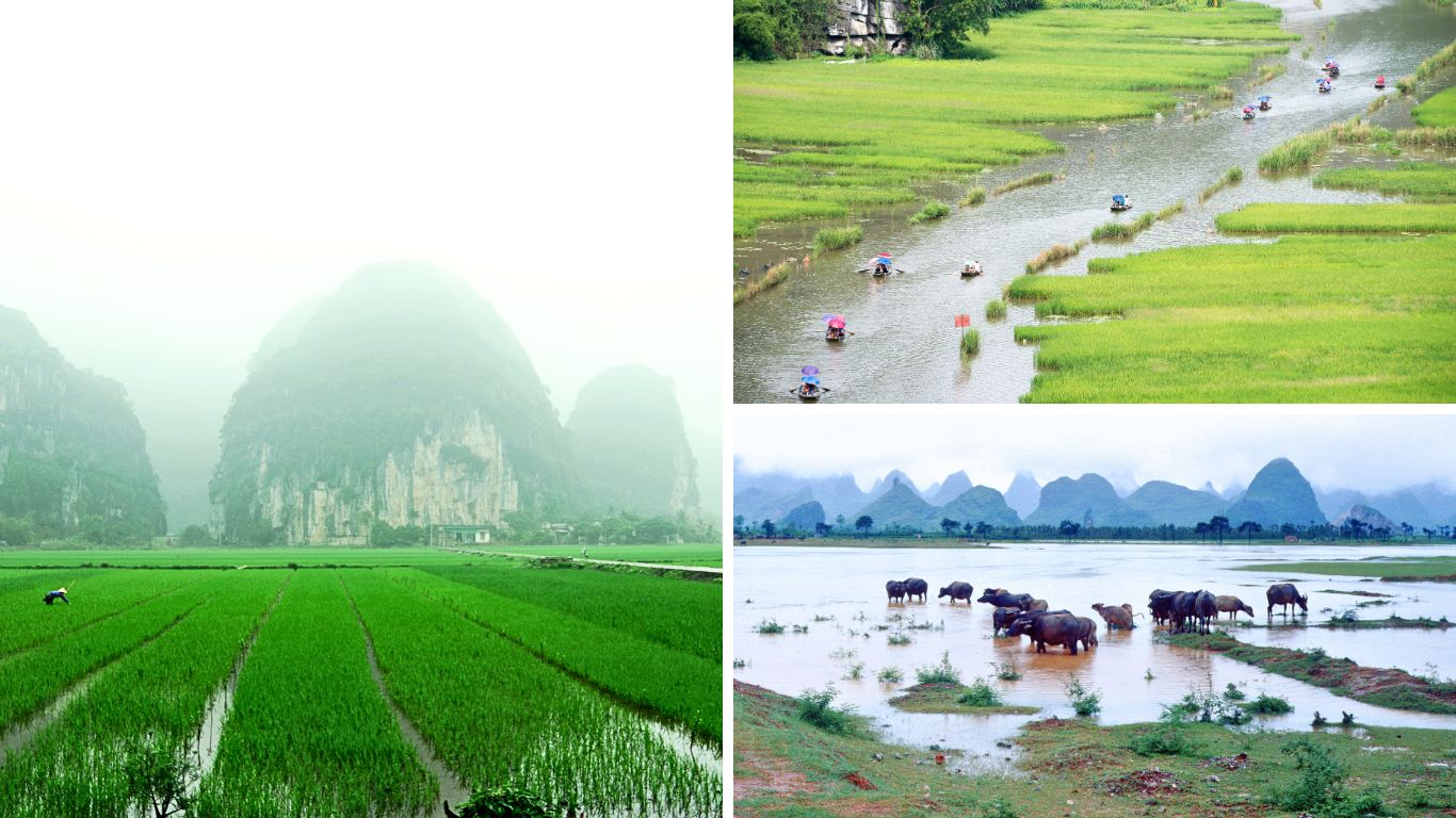 Ninh-Binh-in-May