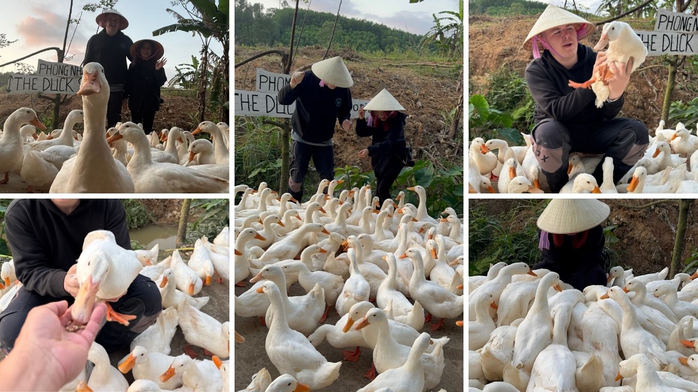 the-duck-stop-phong-nha