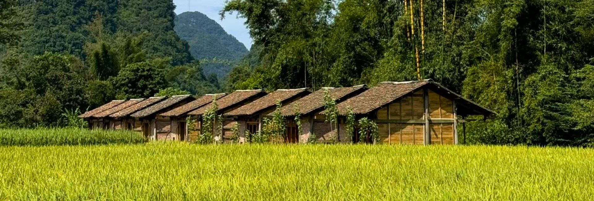 Cao Bang or Ha Giang: Which One Should You Visit (Or Why Not Both)?