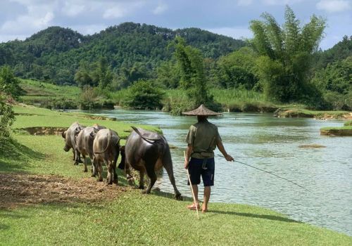 Cao Bang or Ha Giang: Which One Should You Visit (Or Why Not Both)?