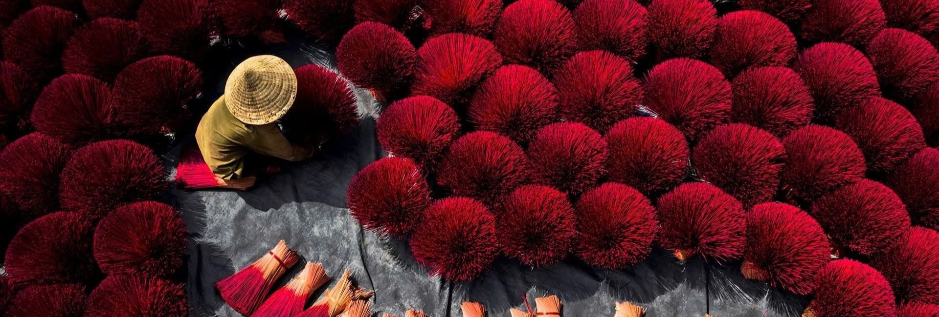 Hanoi in June: Beat the Heat, Catch the Lotus Bloom and Eat Like a Local