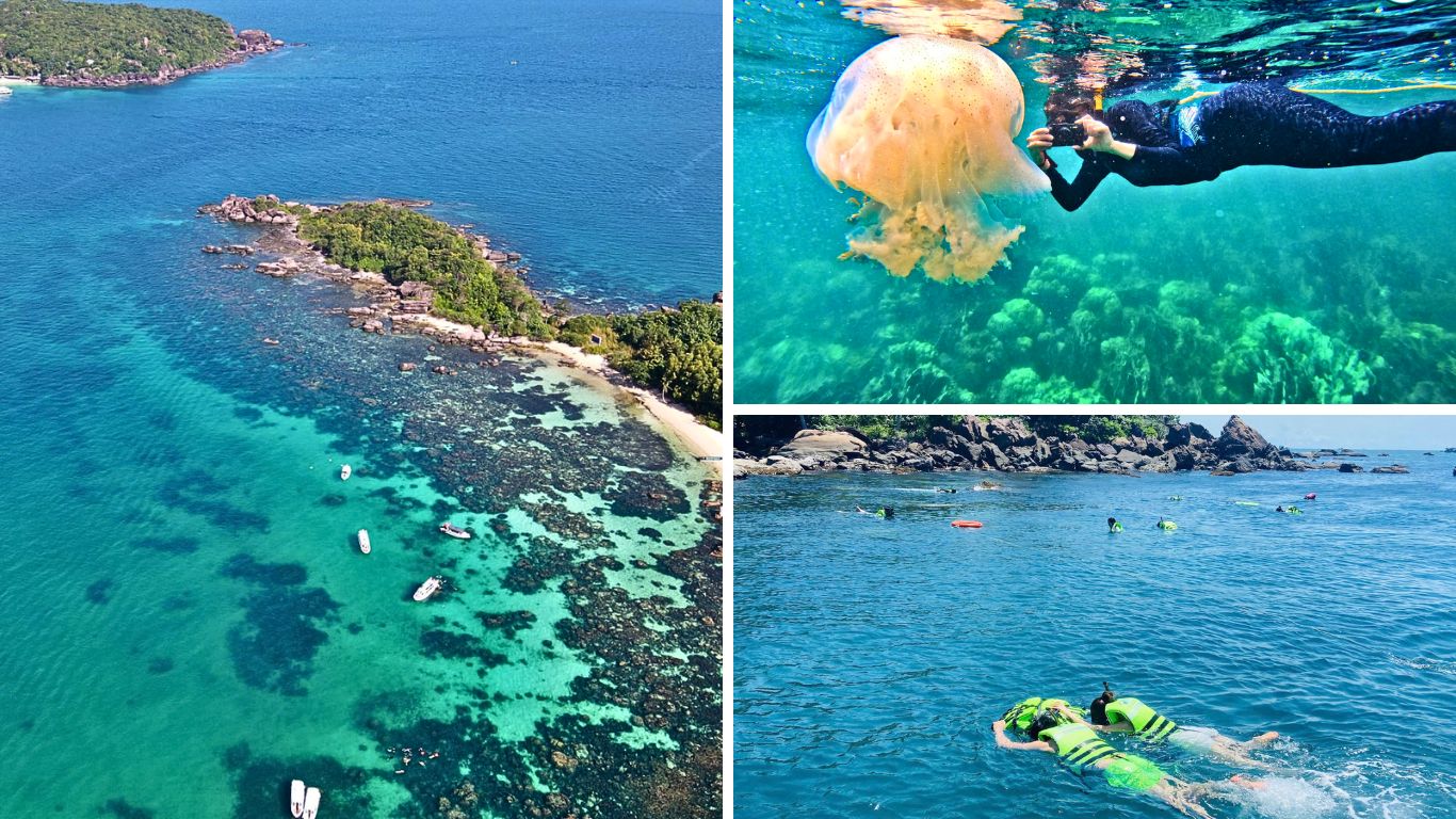 Collage of snorkeling and island hopping around Phu Quoc, showing an aerial view of a coral-fringed island, a snorkeler swimming alongside a large jellyfish in turquoise water, and a group of swimmers exploring the rocky coastline.