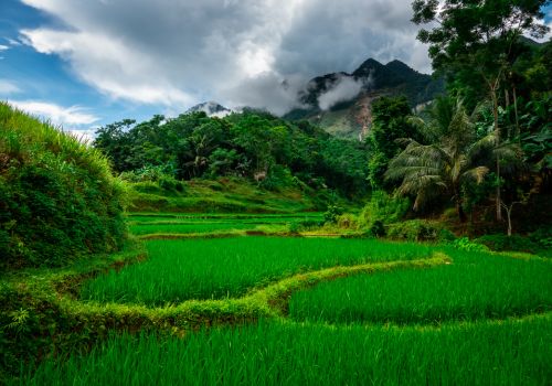 Pu Luong in May: Weather, What’s in Season & What to Expect