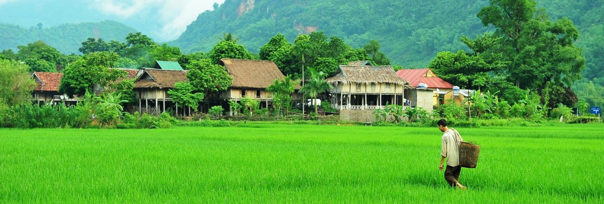 Pu Luong in May: Weather, What’s in Season & What to Expect