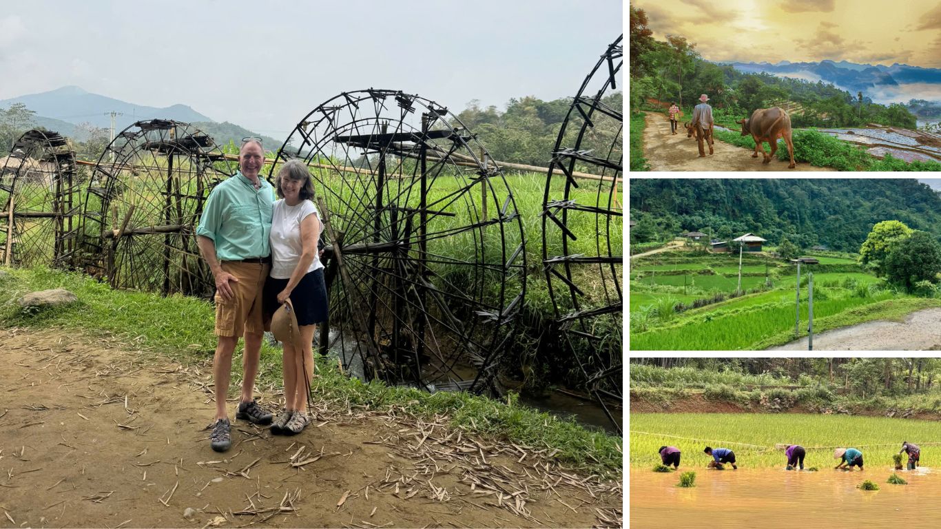 Couple by bamboo water wheels, farmers planting rice and buffalo walking along terrace paths in Pu Luong in May