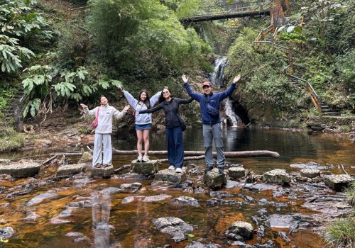 Sapa in June: The Emerald Season of Rice Terraces, Waterfalls & Mountain Mist