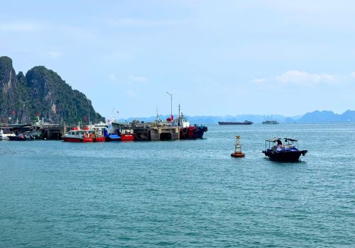 Halong Bay in June: The Smart Traveler’s Guide to Weather, Routes & Luxury Deals