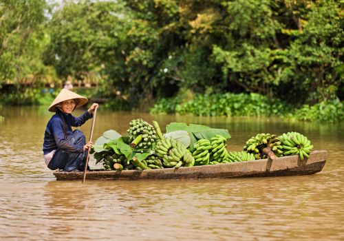 Mekong Delta in June: Green Season, Floating Markets & Fruit Season at Its Peak