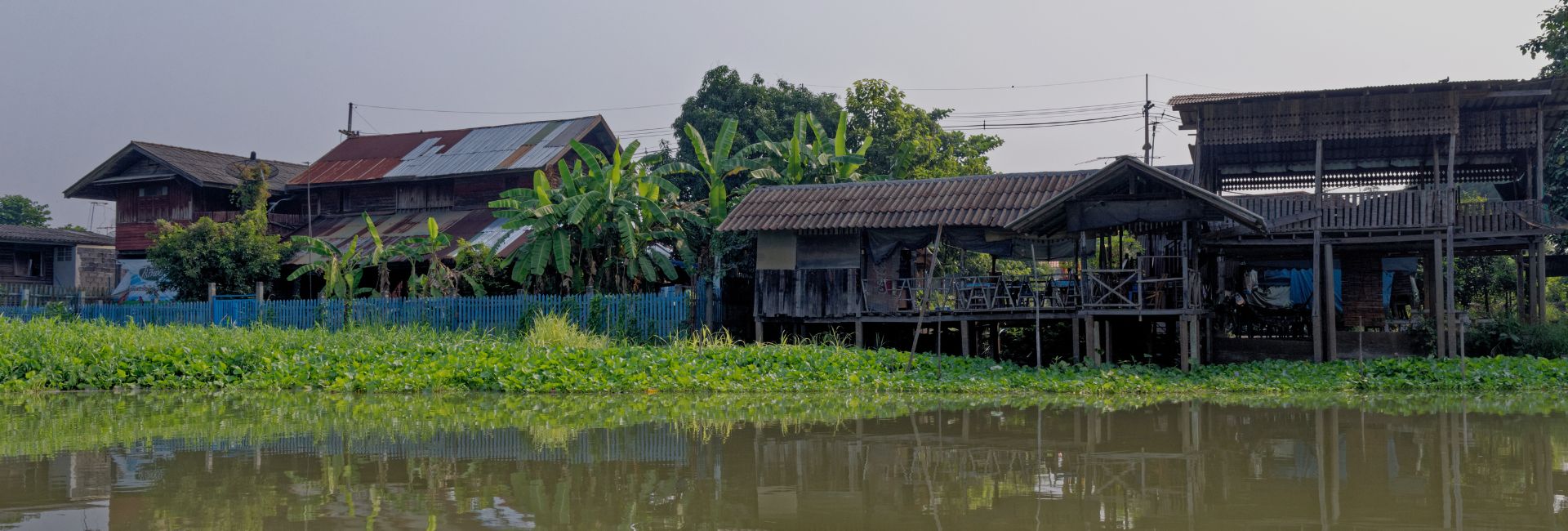 Mekong Delta in June: Green Season, Floating Markets & Fruit Season at Its Peak
