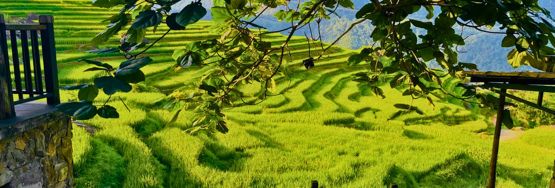 Pu Luong in June: Green Rice Terraces, Cool Mountain Air & No Crowds