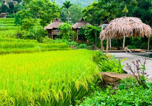 Pu Luong in June: Green Rice Terraces, Cool Mountain Air & No Crowds
