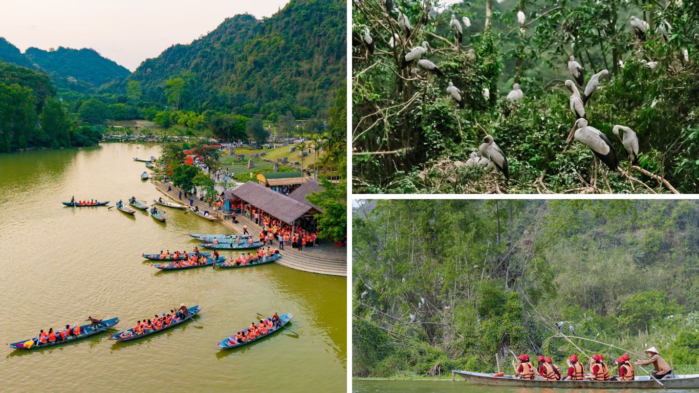 Thung Nham Bird Park Ninh Binh with rowing boats on the river, white egrets nesting in trees, and visitors on a guided boat tour through the jungle waterway.