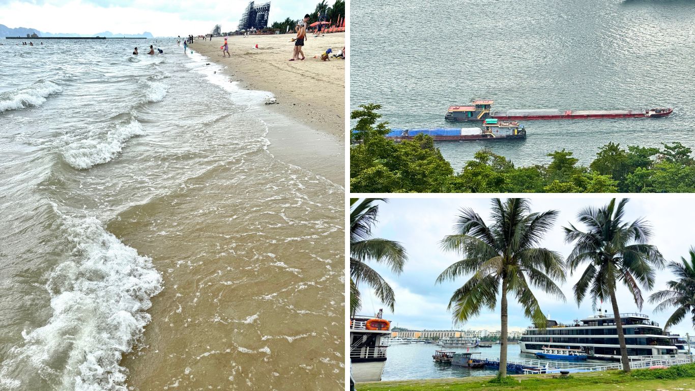 Halong Bay in June featuring a sandy beach with swimmers, a cargo vessel crossing the bay, and luxury cruise ships docked at the marina surrounded by palm trees.