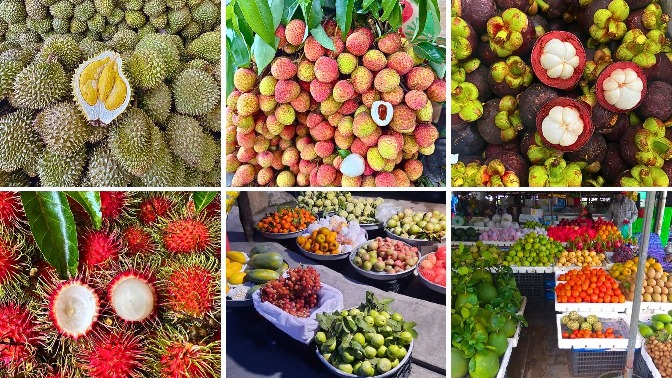 Tropical fruits in season at the Mekong Delta in June including fresh durian, lychee, mangosteen, and rambutan closeups alongside colorful fruit stalls at a local market in southern Vietnam.