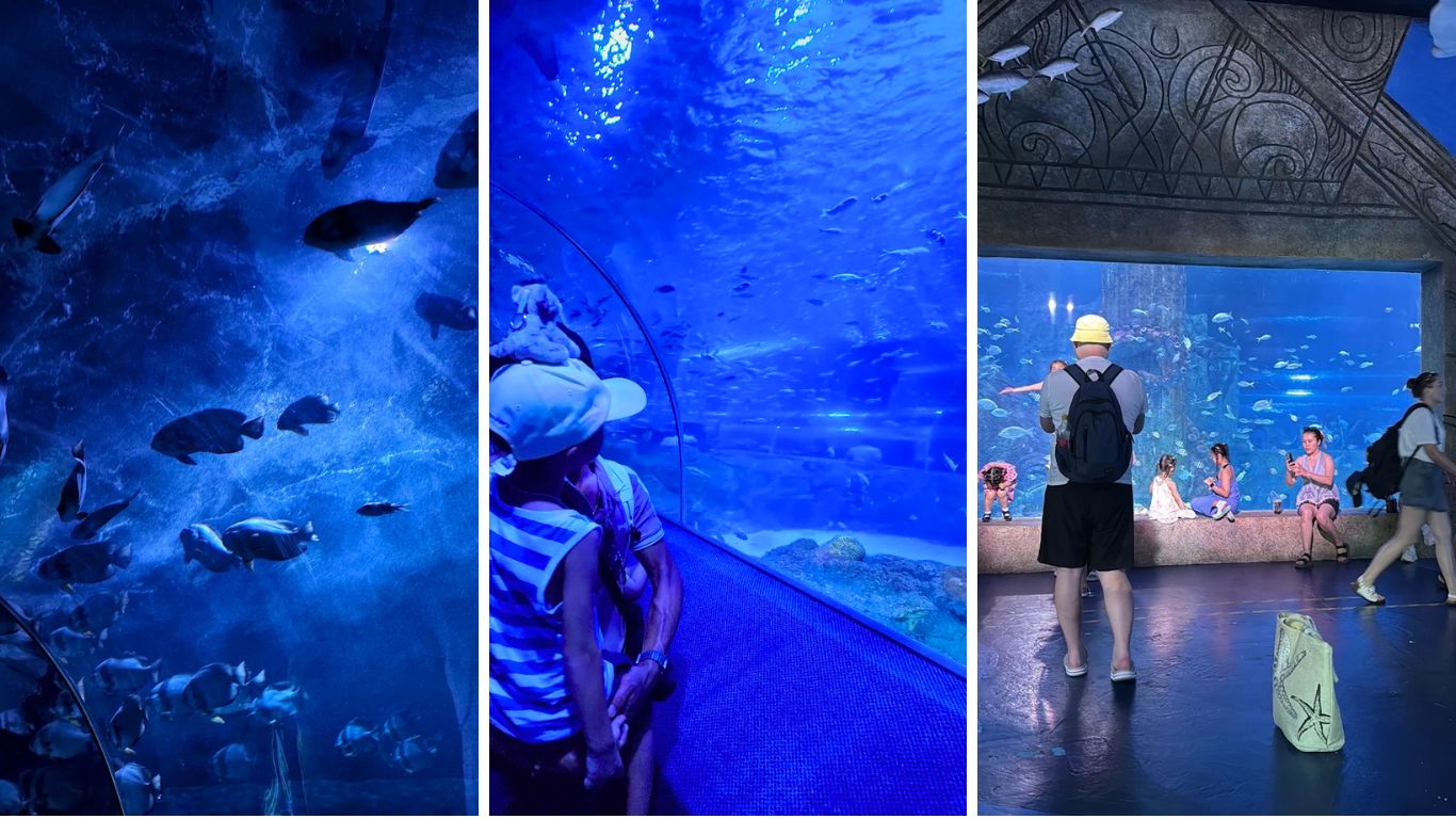 VinWonders Nha Trang aquarium tunnel and marine life exhibit for families visiting in July
