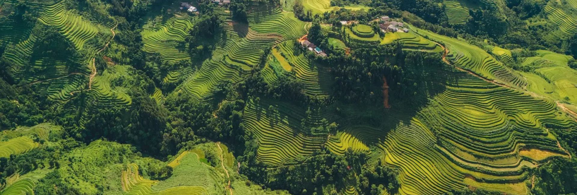 Ha Giang Loop in July: Weather, Green Season, and What to Expect