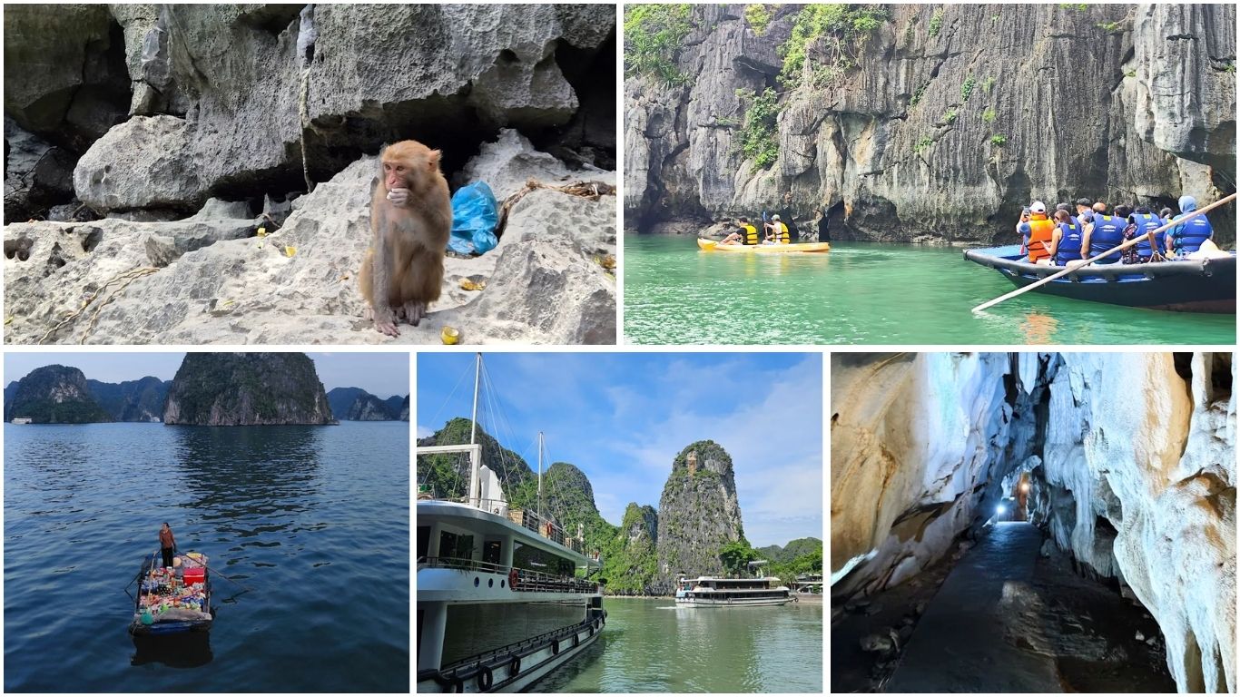 Halong Bay in July wildlife kayaking cruise boat cave passage and local vendor on water