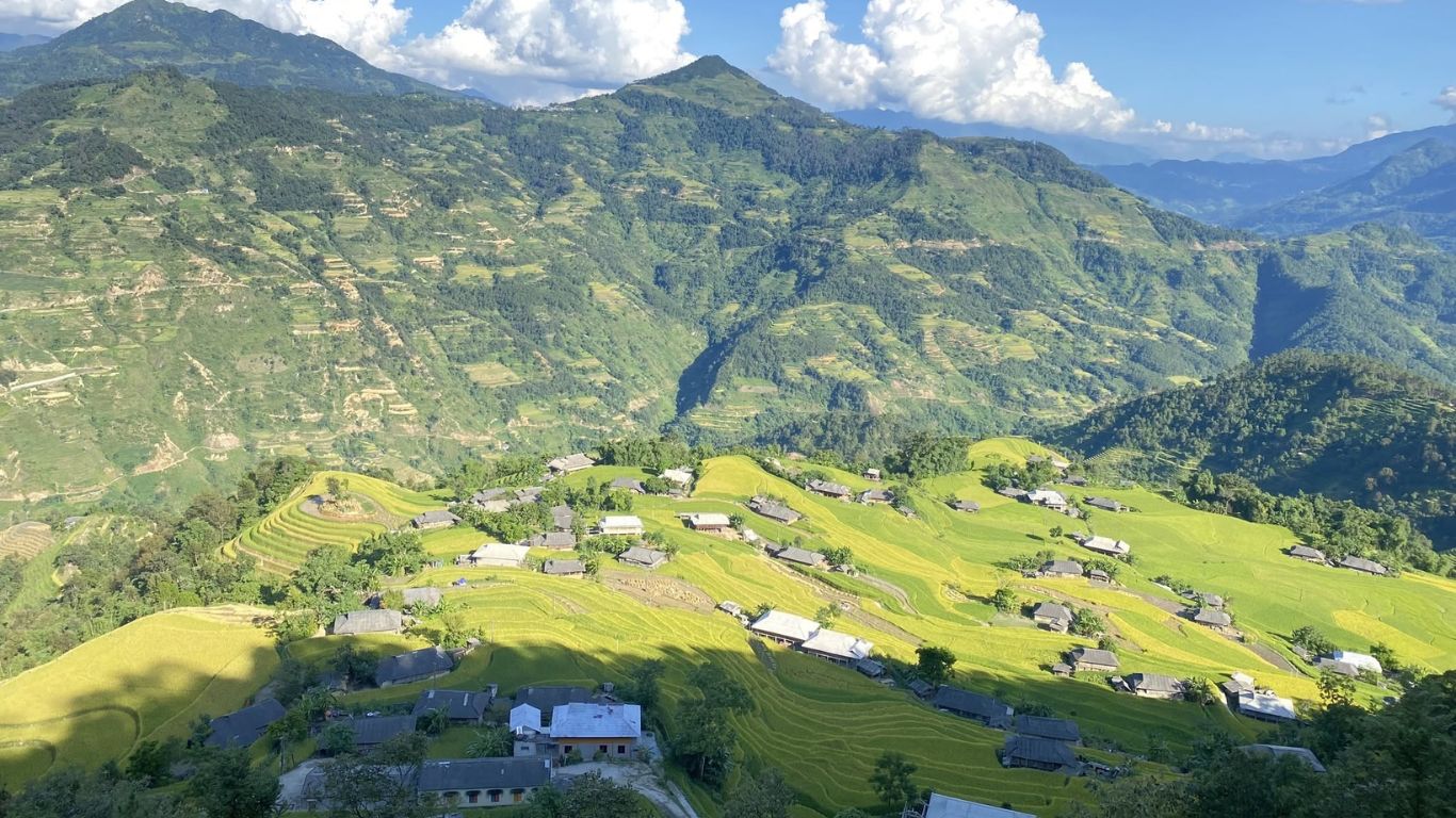 Hoang Su Phi green rice terraces and village in July on the Ha Giang Loop