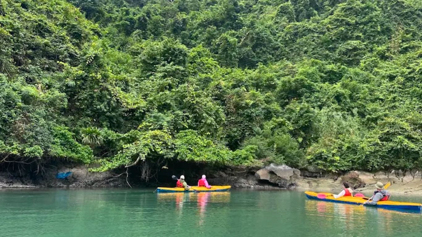 Kayaking in Halong Bay in July surrounded by lush green karst jungle