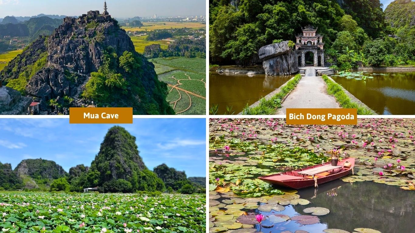 Mua Cave viewpoint and Bich Dong Pagoda in Ninh Binh in July surrounded by lotus ponds and lush green karst landscape