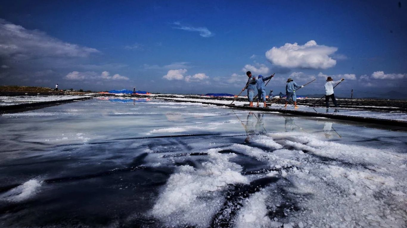 Nha Trang salt fields workers harvesting salt at sunrise hidden gem day trip in July
