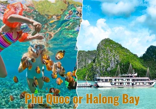 Phu Quoc vs Halong Bay: Which Is Better for Beaches, Cruises and Family Travel