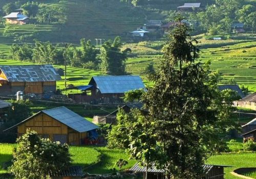 Sapa in July: Weather, Rice Terraces & Travel Tips
