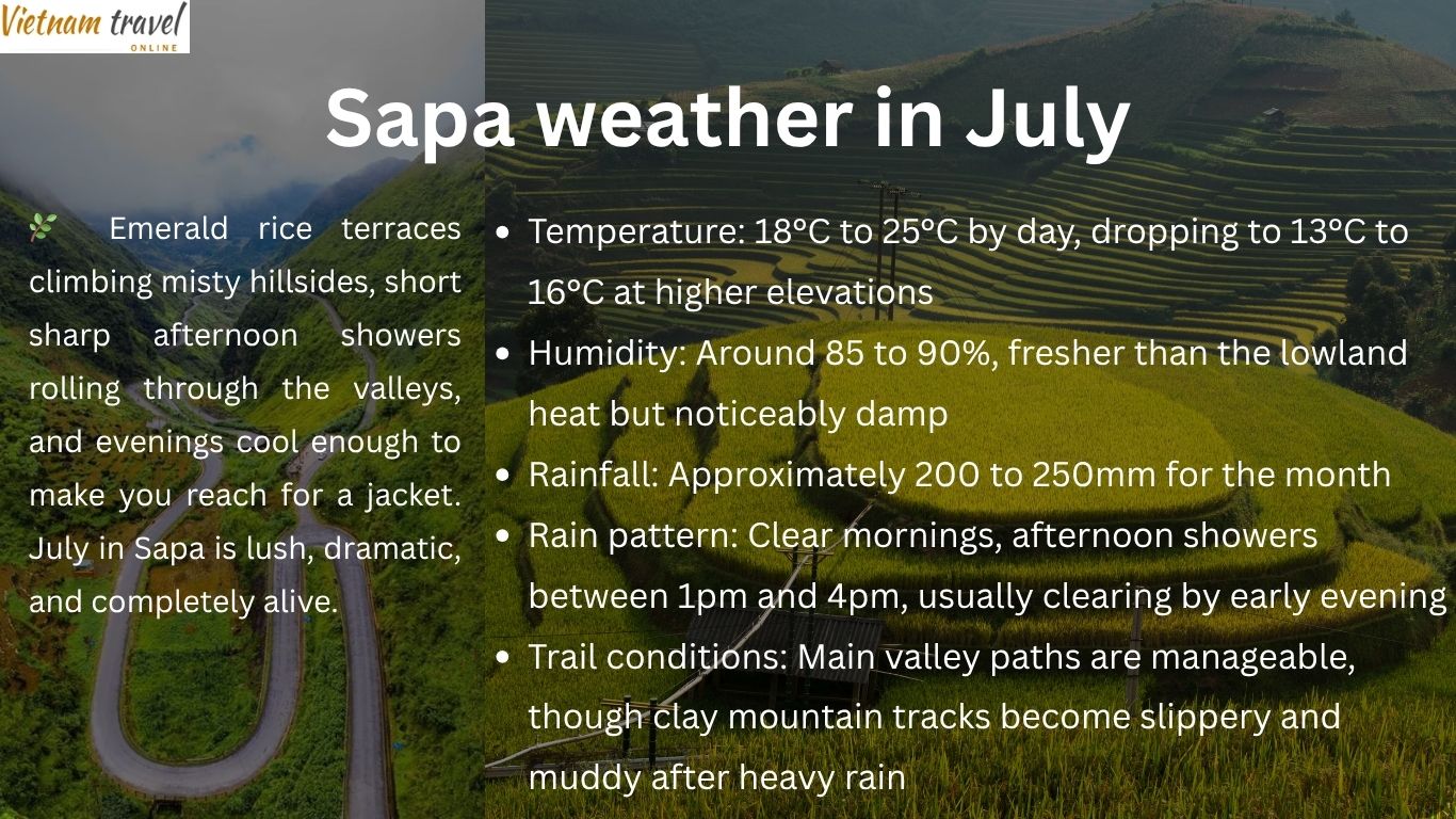 Sapa weather in July