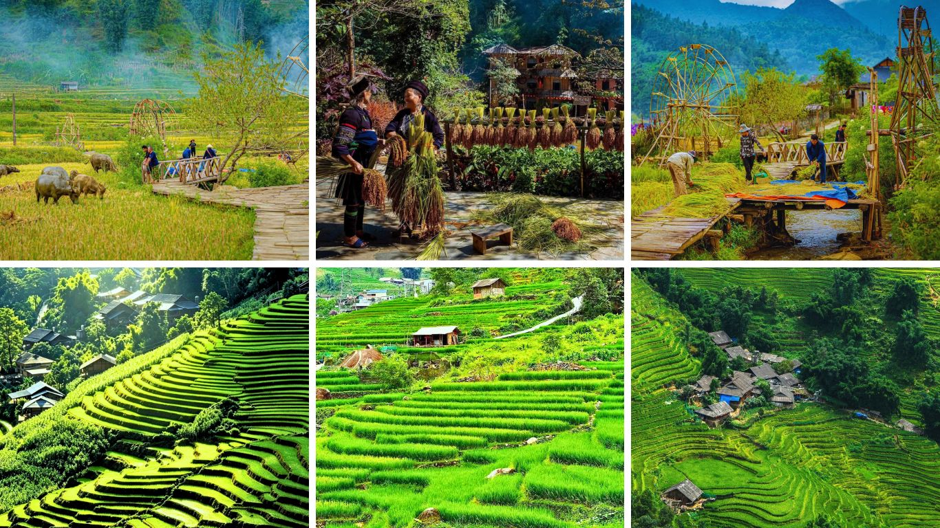 Sapa in July ethnic minority villages green rice terraces farming season and local Hmong community life