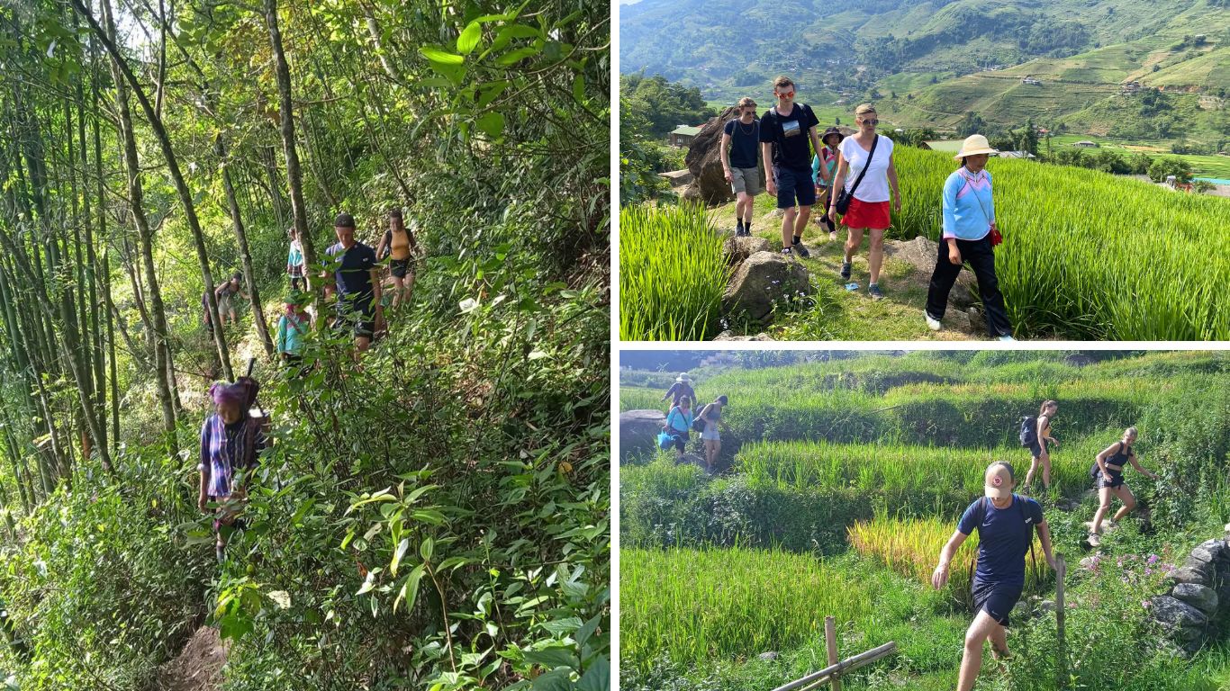 Guided trekking in Sapa in July with local Hmong guide through rice terraces and forest trails