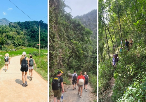 Best Trekking Routes in Northern Vietnam: Which Trail Is Right for You?