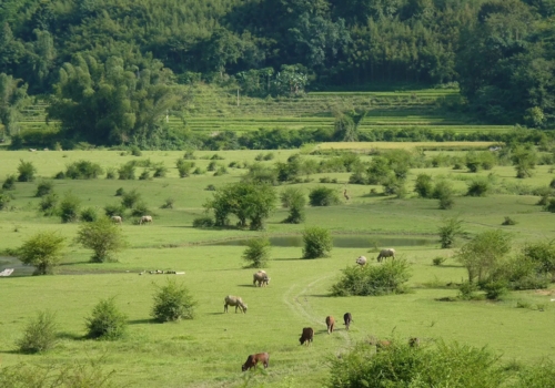 Cao Bang Weather Guide: Best Time to Visit Cao Bang Throughout the Year