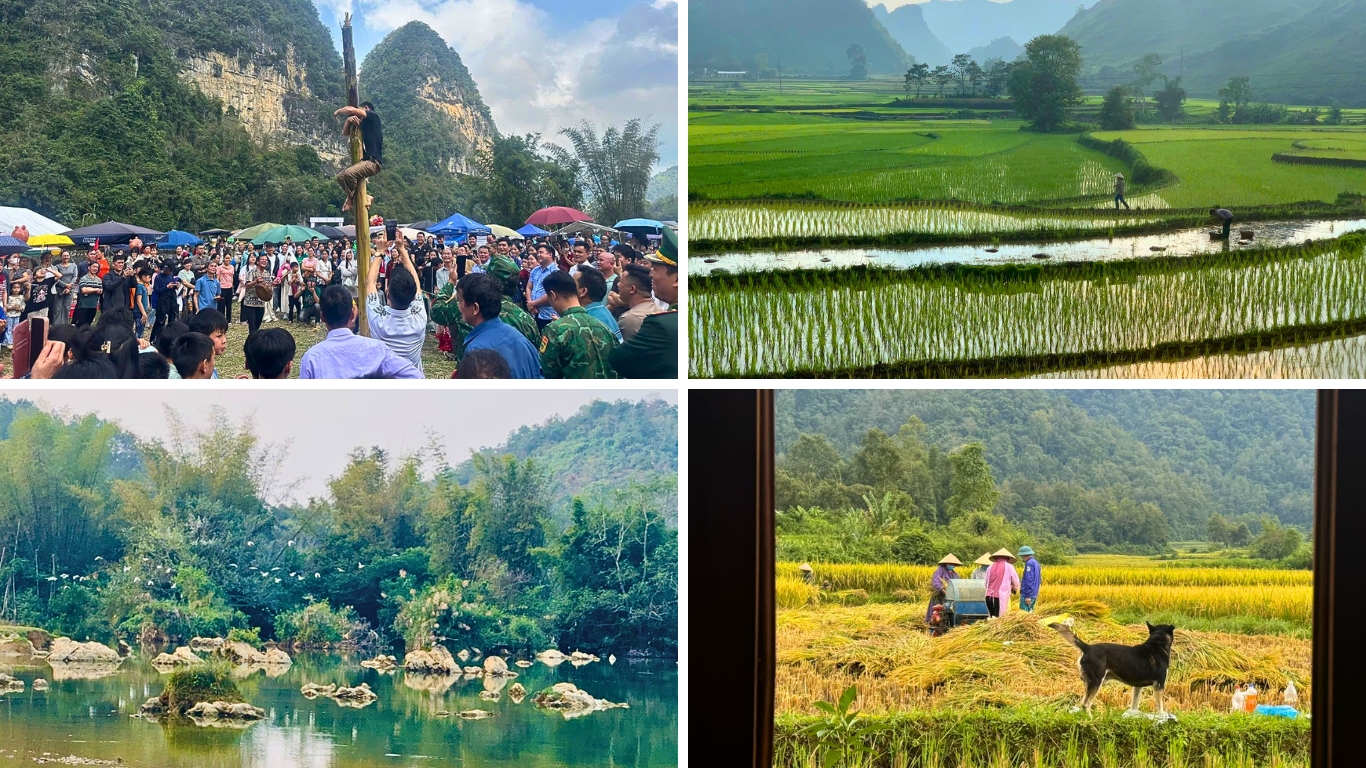 Cao Bang through the seasons, spring festival crowd, green rice terraces, limestone river scenery, and autumn rice harvest in northeast Vietnam.