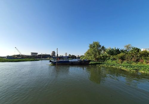 Mekong Delta in July: Weather, Fruit Season & Is It Worth Visiting?