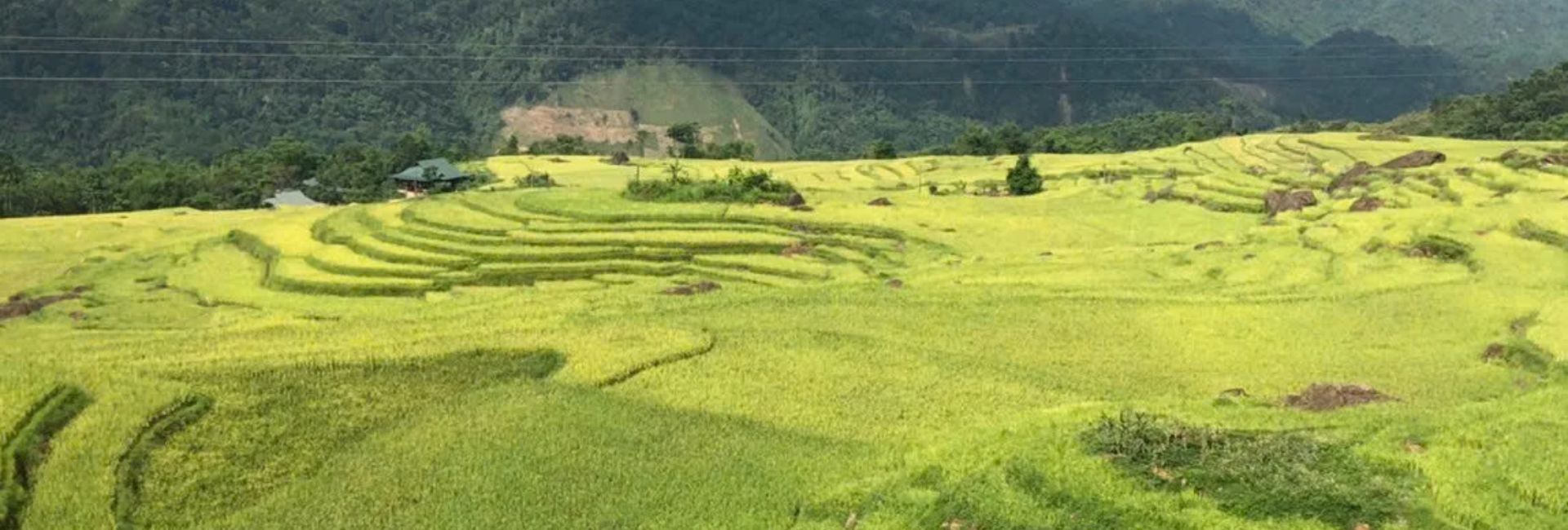Pu Luong in July: Weather, Rice Fields, and Is It Worth Visiting?
