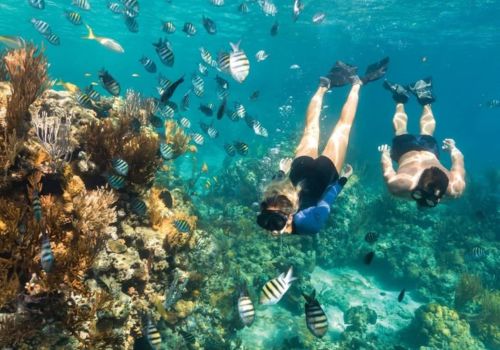 Best Snorkeling and Easy Beach Activities in Vietnam: A Summer Guide for Every Swimmer