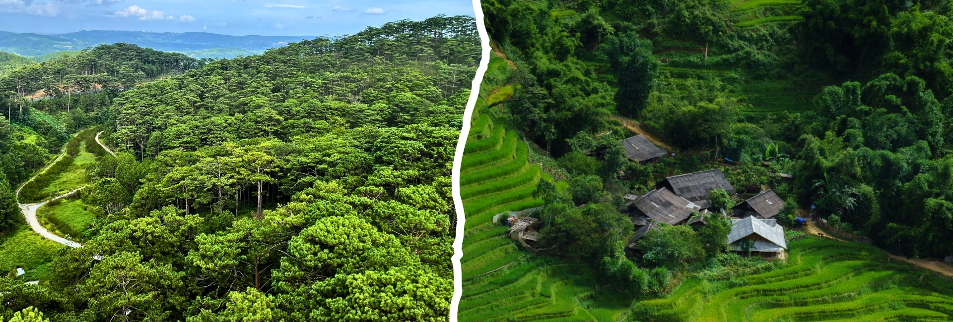 Sapa or Da Lat: Which Mountain Destination in Vietnam Is Right for You?