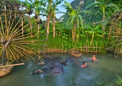 Mai Chau or Pu Luong: Which Peaceful Mountain Escape Is Right for You?